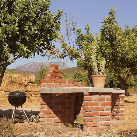 Las Orquideas Valle de Guadalupe Exterior foto